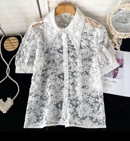 Designer  Sheer Shirt with Pearl embellished Collar